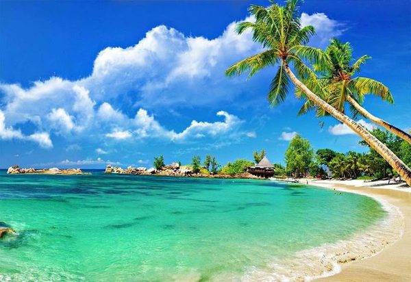 Logical Connect & Travel